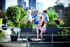 Balkonbak Elho Loft Urban Allin1 50cm - Antraciet -Huisdecoratie loft urban balkonbak allin1 50 plantenbak antraciet 7 13