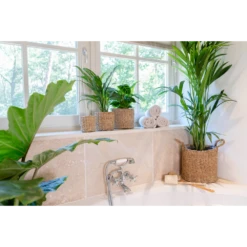 Plantenmand Joris - D30 X H27cm - Naturel -Huisdecoratie plantenmand joris naturel plantenmand 3 2