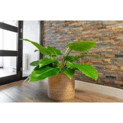 Plantenmand Stef - D25 X H25cm - Naturel -Huisdecoratie plantenmand stef d25 x h25cm naturel plantenmand 2