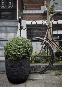 Capi Bloempot Bol Nature Row NL - D43 X H41cm - Zwart -Huisdecoratie pot bol row nl 43x41 zwart bloempot 6 9