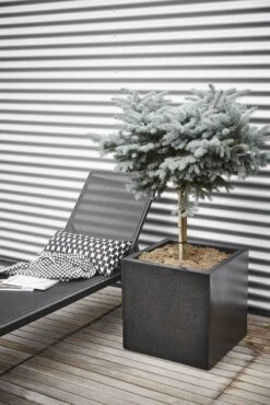 Capi Plantenbak Vierkant Lux Terrazo - L50 X B50 X H50cm - Zwart -Huisdecoratie pot vierkant 50x50x50 zwart plantenbak 7 8