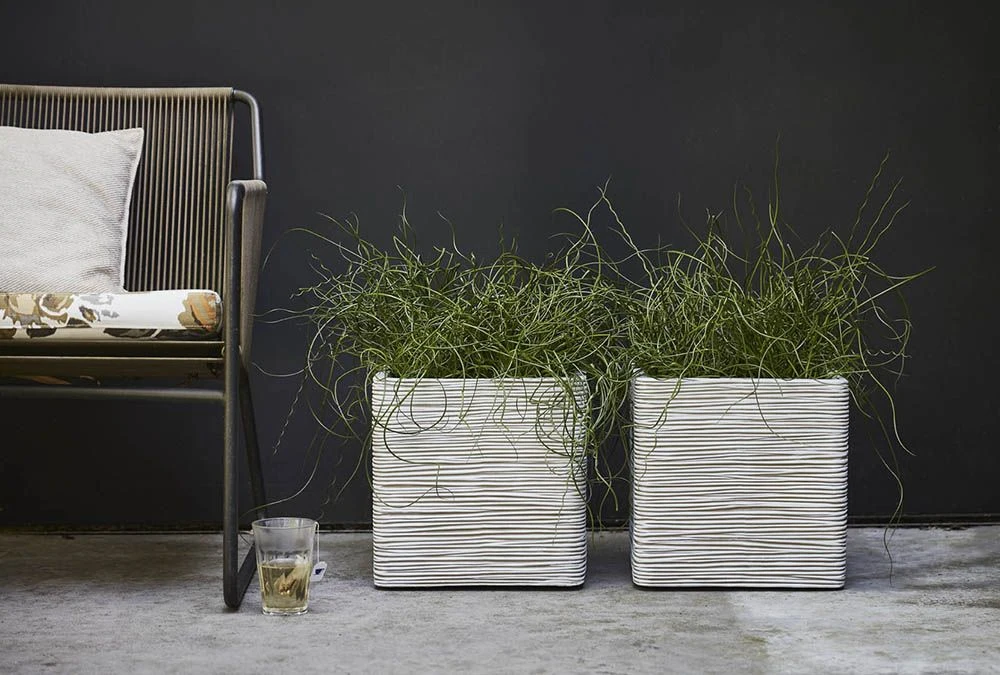 Capi Plantenbak Vierkant Nature Rib NL - L30 X B30 X H30cm - Ivoor 5 Capi Plantenbak Vierkant Nature Rib NL - L30 X B30 X H30cm - Ivoor - Afbeelding 3