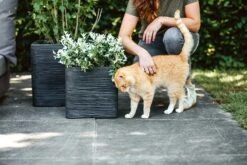 Capi Plantenbak Vierkant Nature Rib NL - L30 X B30 X H30cm - Zwart 7 Capi Plantenbak Vierkant Nature Rib NL - L30 X B30 X H30cm - Zwart -Huisdecoratie pot vierkant rib nl 30x30x30 zwart plantenbak 7 8