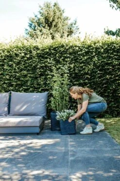 Capi Plantenbak Vierkant Nature Rib NL - L40 X B40 X H40cm - Zwart -Huisdecoratie pot vierkant rib nl 40x40x40 zwart plantenbak 7 8