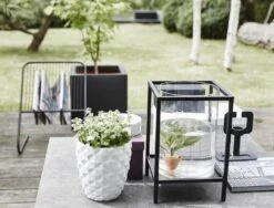 Capi Plantenbak Vierkant Urban Smooth NL - L30 X B30 X H30cm - Zwart 5 Capi Plantenbak Vierkant Urban Smooth NL - L30 X B30 X H30cm - Zwart -Huisdecoratie pot vierkant smooth nl 30x30x30 zwart plantenbak 6 8