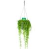 Senecio Herreianus - Erwtenplant - In Hangpot - P17 H40 - Kamerplant -Huisdecoratie senecio herreianus erwtenplant in hangpot p17 h40 1