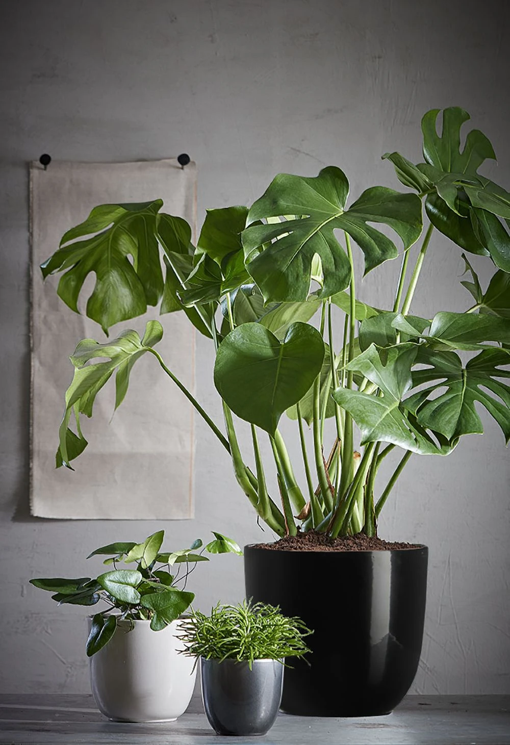 Bloempot Tusca - D28 X H25cm - Antraciet 4 Bloempot Tusca - D28 X H25cm - Antraciet - Afbeelding 2