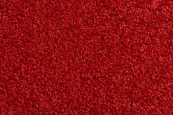 Huisdecoratie -Huisdecoratie twister schoonloopmat 90x60cm rood deurmat 2