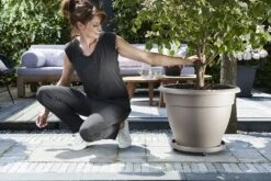 Plantentaxi Elho Universeel 35cm - Antraciet -Huisdecoratie universele planttaxi 35cm schotel antraciet 6 11