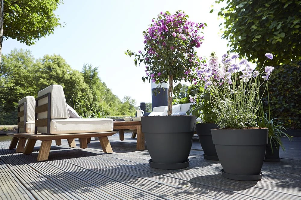 Bloempot Elho Vibia Campana Rond 40cm - Antraciet 4 Bloempot Elho Vibia Campana Rond 40cm - Antraciet - Afbeelding 2