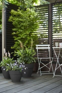 Bloempot Elho Vibia Campana Rond 40cm - Antraciet 7 Bloempot Elho Vibia Campana Rond 40cm - Antraciet -Huisdecoratie vibia campana rond 40 bloempot antraciet 7 11