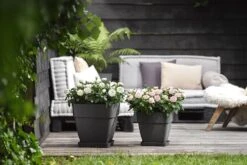 Bloempot Elho Vibia Campana Vierkant 30cm - Antraciet -Huisdecoratie vibia campana vierkant 30 plantenbak antraciet 6 11