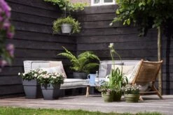 Bloempot Elho Vibia Campana Vierkant 37cm - Antraciet -Huisdecoratie vibia campana vierkant 37 plantenbak antraciet 6 11