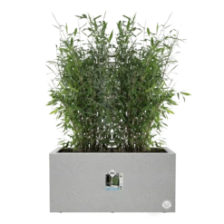 Elho Vivo Next Lang Wielen 80cm - Warm Grijs -Huisdecoratie vivo matt lang wielen 80cm warm grijs 5 1