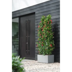 Elho Vivo Next Lang Wielen 80cm - Warm Grijs -Huisdecoratie vivo matt lang wielen 80cm warm grijs 6 1