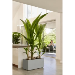 Elho Vivo Next Lang Wielen 80cm - Warm Grijs -Huisdecoratie vivo matt lang wielen 80cm warm grijs 7 1