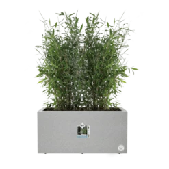 Elho Vivo Next Lang Wielen 60cm - Warm Grijs 13 Elho Vivo Next Lang Wielen 60cm - Warm Grijs -Huisdecoratie vivo next lang wielen 60cm warm grijs 5 1