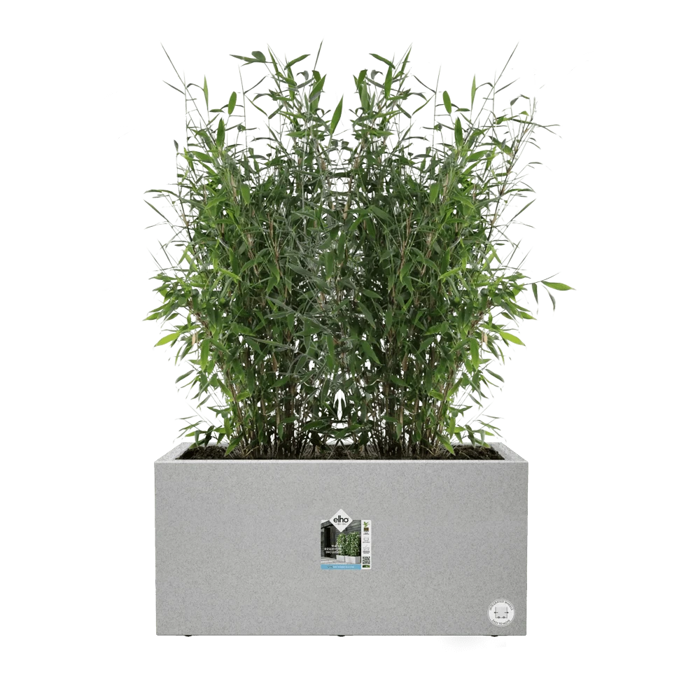 Elho Vivo Next Lang Wielen 60cm - Warm Grijs 7 Elho Vivo Next Lang Wielen 60cm - Warm Grijs - Afbeelding 5