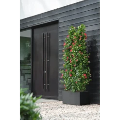 Elho Vivo Next Lang Wielen 80cm - Living Black -Huisdecoratie vivo next lang wielen 80cm living black 6 1