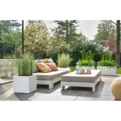 Elho Vivo Next Vierkant Wielen 30cm - Wit 15 Elho Vivo Next Vierkant Wielen 30cm - Wit -Huisdecoratie vivo next vierkant wielen 30cm wit 7 1